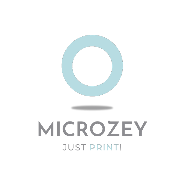 Microzey logosu
